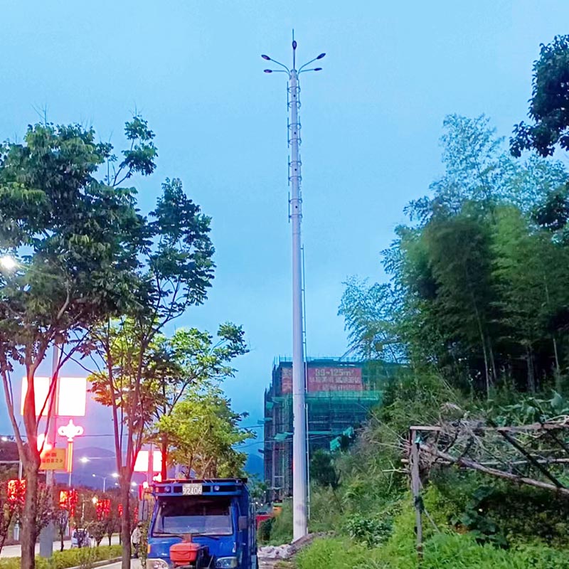 Kamuflaje Arbola Dorrea